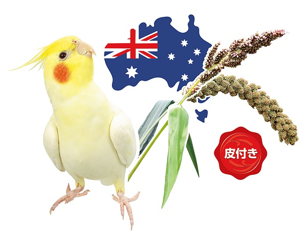 激レア限定10枚オカメインコパネル生地　ハンドメイド SK ウェルバランス オカメインコ 600g | こんぱまるオンライン